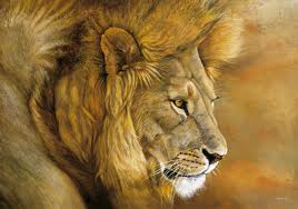 TP 96 lion