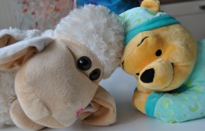 Winnie & Sheep